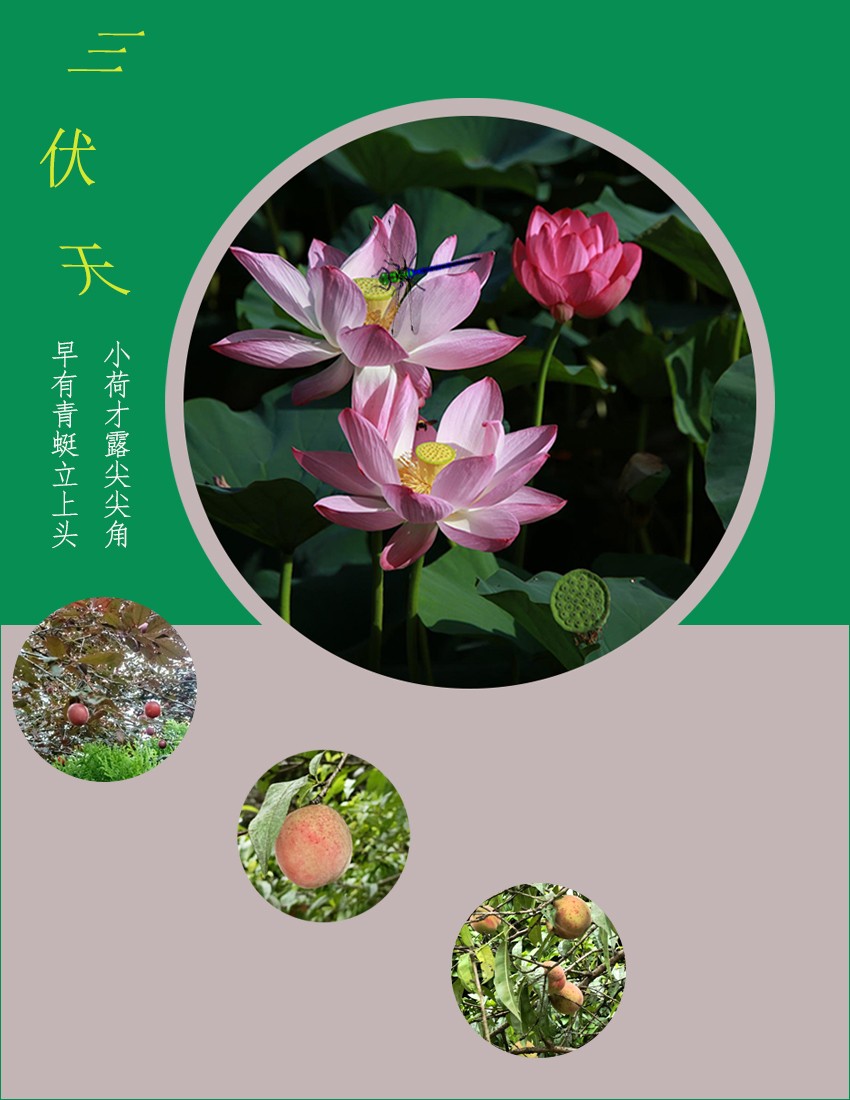 紫铜卡农填料